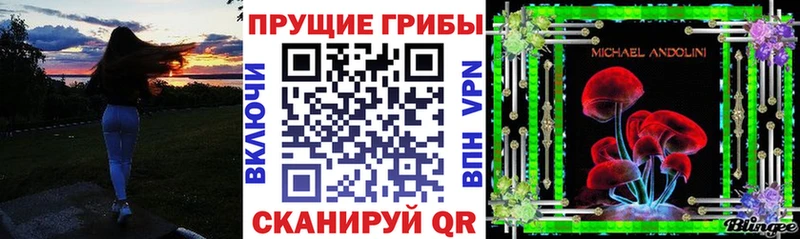 Псилоцибиновые грибы Psilocybe  Облучье 