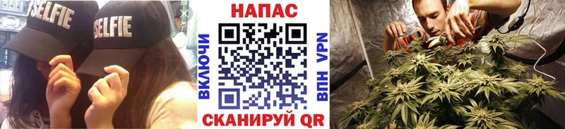 наркошоп Облучье Канабис сатива